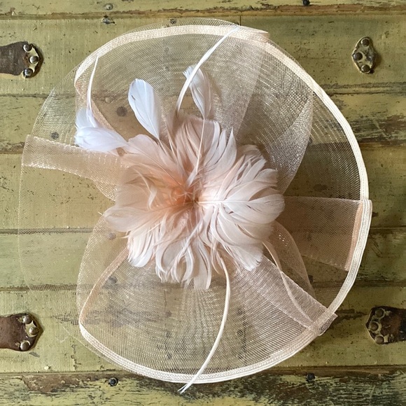 PINK FEATHER FASCINATOR HAT DRESSY MESH SHEER PINK FEATHER CLIP FASCINATOR - Picture 2 of 13